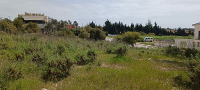 Residential Plot in The Golden Mile - Image 1