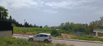 Residential Plot in The Golden Mile - Image 2