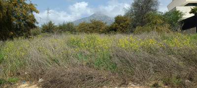Residential Plot in The Golden Mile - Image 3