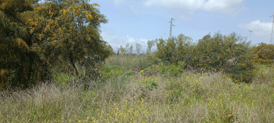 Residential Plot in The Golden Mile - Image 4