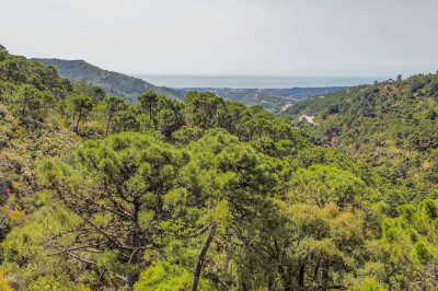 Land in Benahavís - Image 5