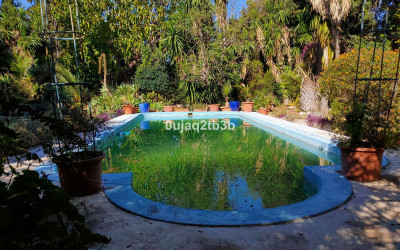 6 Bedroom Finca - Cortijo in Mijas - Image 4