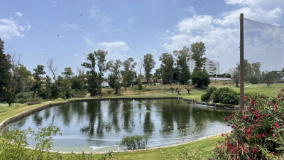 3 Bedroom Top Floor Apartment in Guadalmina Alta - Image 3