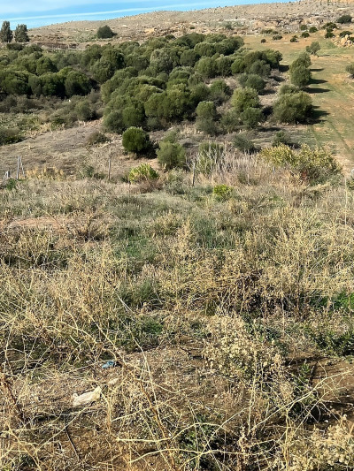 Commercial Plot in Casares - Image 4