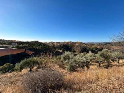 Land in Valtocado - Image 3