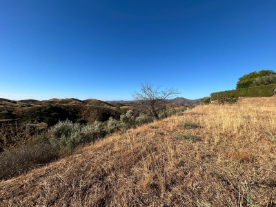 Land in Valtocado - Image 5