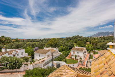 9 Bedroom Detached Villa in El Rosario - Image 2