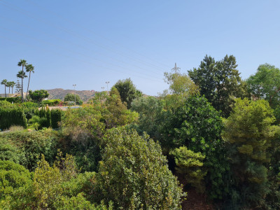 Land in Hacienda Las Chapas - Image 4