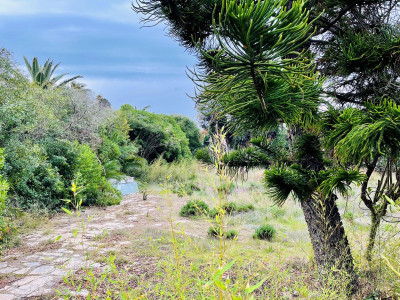 Residential Plot in Estepona