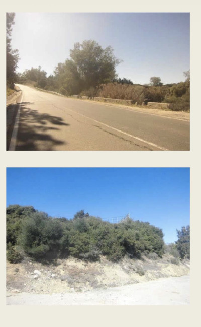 Residential Plot in Sotogrande Alto - Image 3