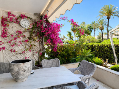 3 Bedroom Ground Floor Apartment in Puerto Banús - Image 3