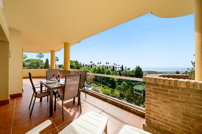 3 Bedroom Ground Floor Apartment in Calahonda - Image 3