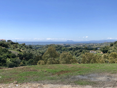 Residential Plot in New Golden Mile - Image 1