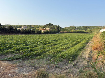 Land in Casares - Image 1