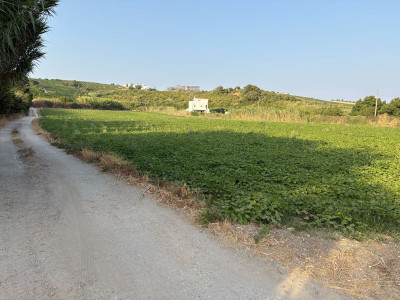 Land in Casares - Image 4