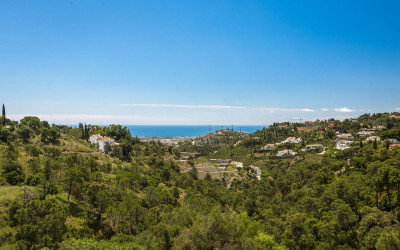 Land in El Madroñal