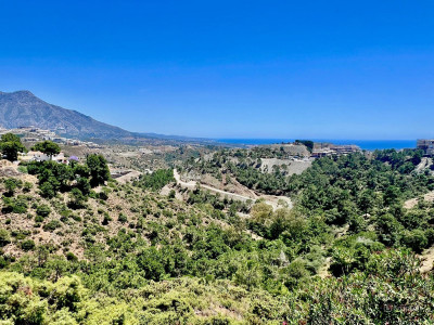 Residential Plot in El Madroñal - Image 1