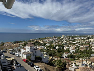Middle Floor Studio in Riviera del Sol - Image 1