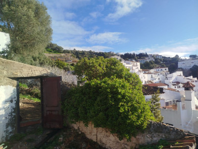 4 Bedroom Detached Villa in Casares - Image 3